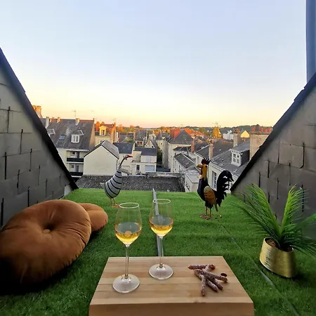 Daire L'ecrin Saumurois - T3 Confort Et Charme Ile Offard Saumur