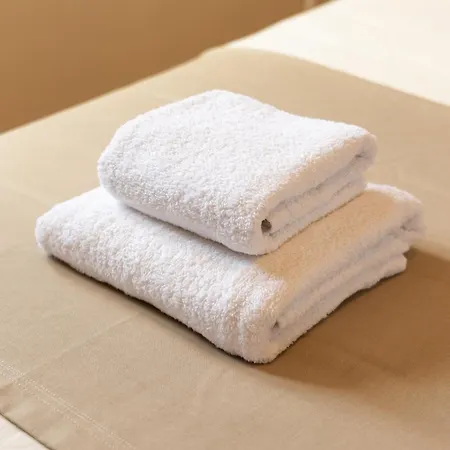 L'ecrin Saumurois - T3 Confort Et Charme Ile Offard