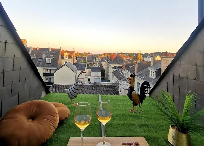 Appartement L'écrin Saumurois - T3 Confort Et Charme île Offard Saumur