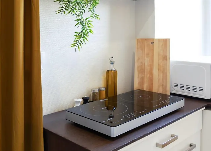 Lejlighed L'ecrin Saumurois - T3 Confort Et Charme Ile Offard *