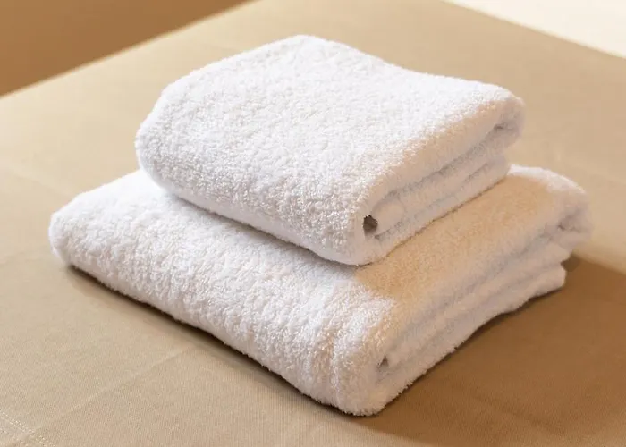 L'écrin Saumurois - T3 Confort Et Charme île Offard